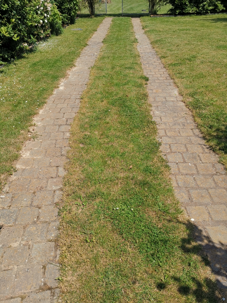 Allée jardin entre zones à tondre