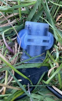 G1.jpg